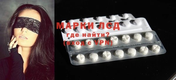 spice Новодвинск
