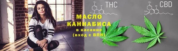 spice Новодвинск