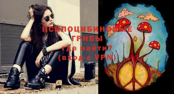 ALPHA PVP Новозыбков