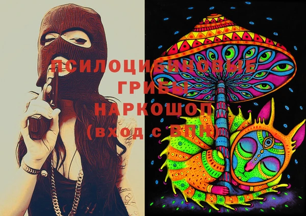 spice Новодвинск