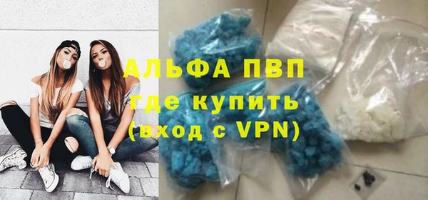 spice Новодвинск