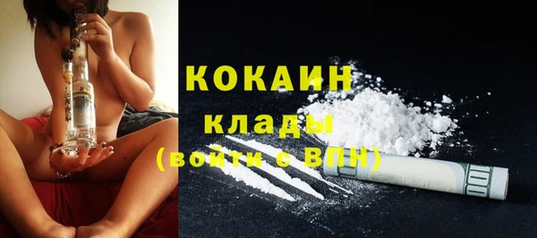 spice Новодвинск