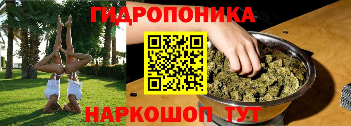 Ижевск  Шишки марихуана конопля  Шишки марихуана тримм  Вход с VPN 